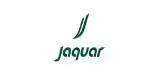 jaguar-desktop.webp